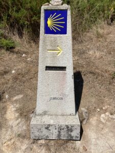 The scallop shell, a symbol of pilgrims